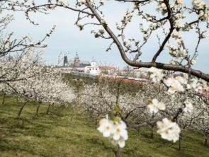 Prague parks